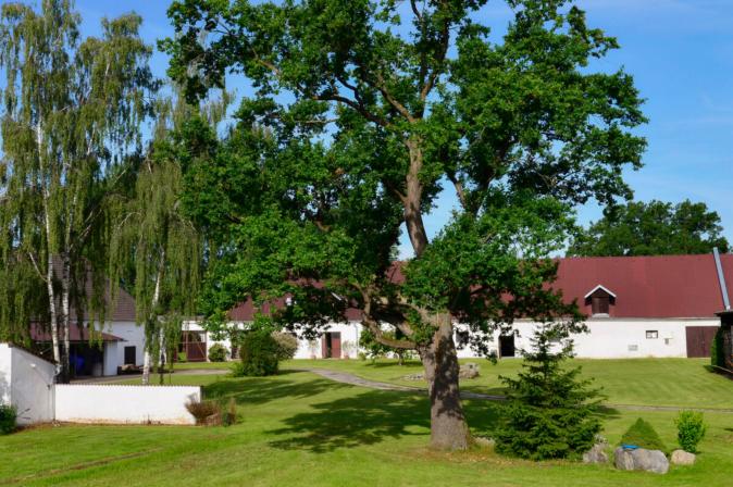 Obrázek reference