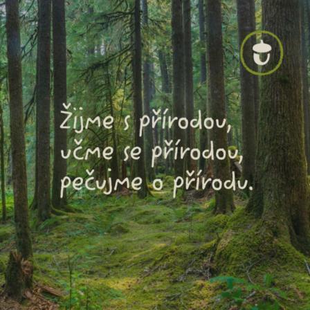 Obrázek reference