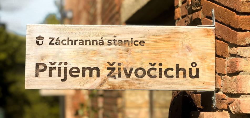 Obrázek reference