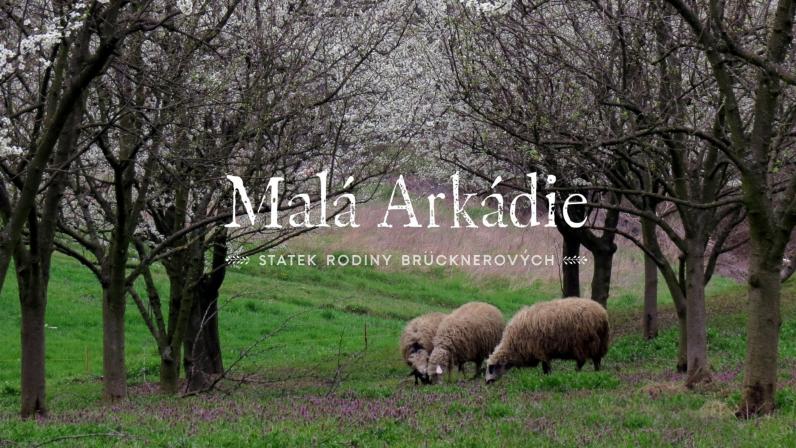 Obrázek reference