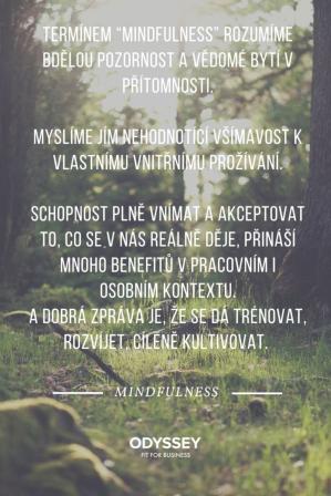 Obrázek reference