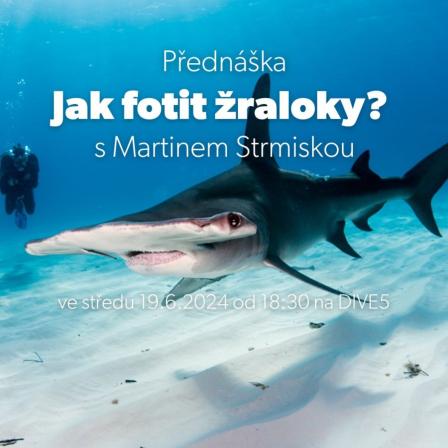 Obrázek reference