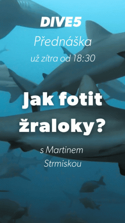 Obrázek reference