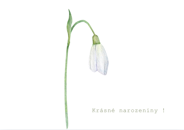 Obrázek reference