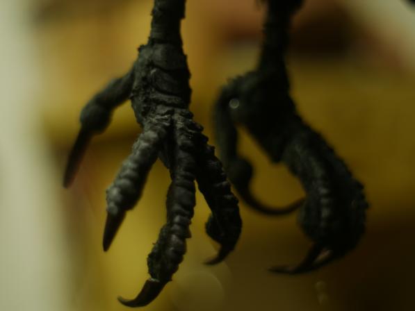 Obrázek reference