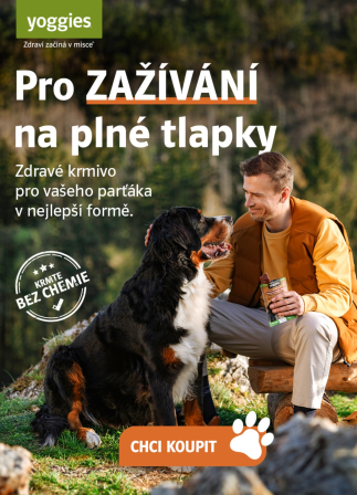 Obrázek reference