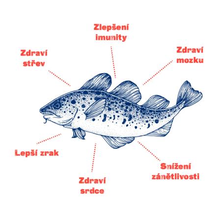 Obrázek reference