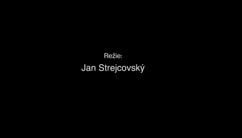 Obrázek reference