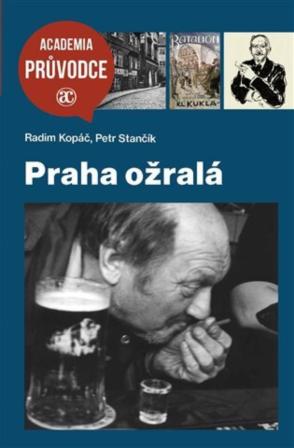 Obrázek reference