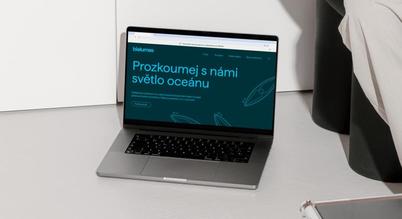Obrázek reference