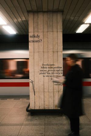 Obrázek reference