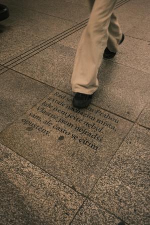 Obrázek reference