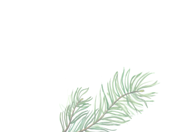 Obrázek reference