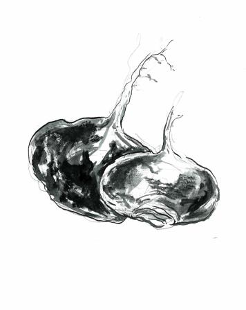 Obrázek reference