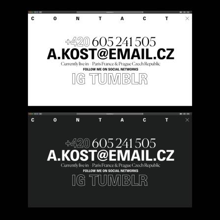 Obrázek reference
