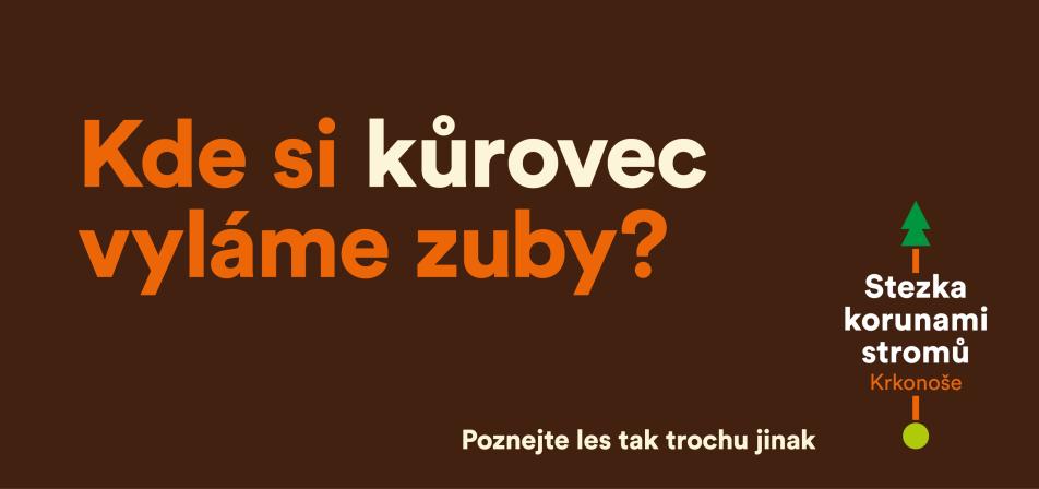 Obrázek reference