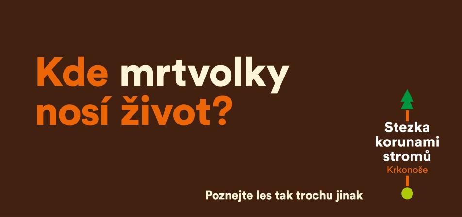Obrázek reference