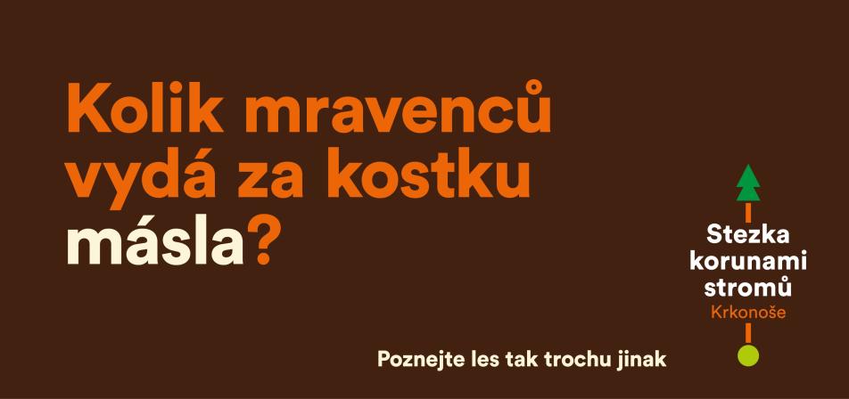 Obrázek reference
