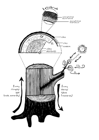 Obrázek reference